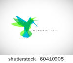 vector abstract colibri...
