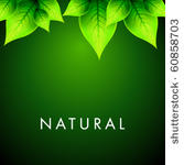 vector natural design