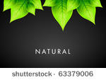 vector natural design