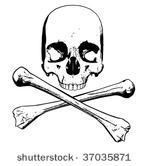vector of human skull   three...