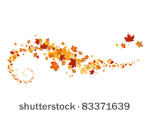 swirl of maple leaves