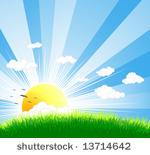 vector illustration of an...