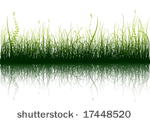 green grass with reflection...