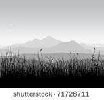landscape with grass and...
