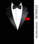vector illustration of elegant...