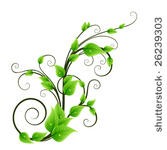 floral design element