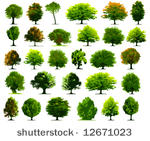vector trees