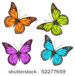 vector butterflies  multicolour ...
