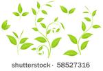 set of various green plants ...