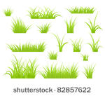 fragment of a green grass....
