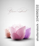 vector lotus flowers