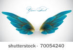 vector bird wing illustration