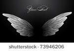vector wings