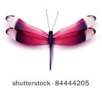 vector butterfly illustration