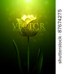 vector flower illustration