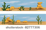 cactus and desert