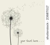 vector dandelion