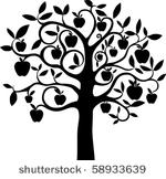 apple tree.