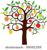 apple tree