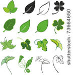 set of  green leaf icons