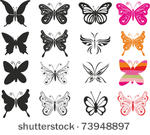 set butterfly. isolated on...