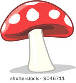 a red mushroom with white spots 