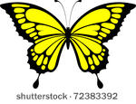 butterfly design isolated on...