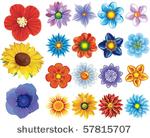 set of flower graphics vector