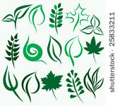 vector leaves