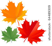 set of colorful maple leaves