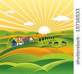 summer evening landscape