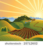summer solar rural landscape...
