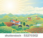 rural summer landscape