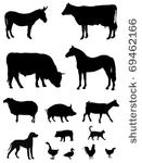 vector illustration of various...