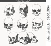 doodled skulls