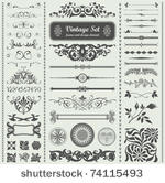 vector set  calligraphic design ...