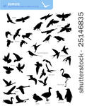 collection of 40 silhouettes of ...