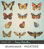 vector set  detailed vintage...