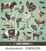 vector set  farm animals  ...