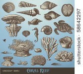vector set  coral reef  ...