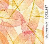 autumn leaves
