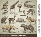 vector set  wild animals  ...