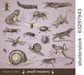 vector set  small creatures  ...