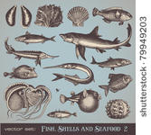 vector set  fish  shells and...