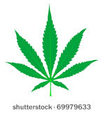 green marijuana leaf isolated...