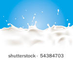 a splash of milk. vector...
