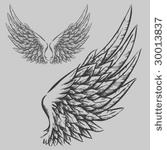 wings  hand drawn vector...