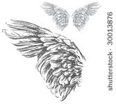 wings  hand drawn vector...