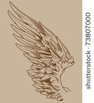 detailed vector wing