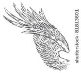 hand drawn bird wing